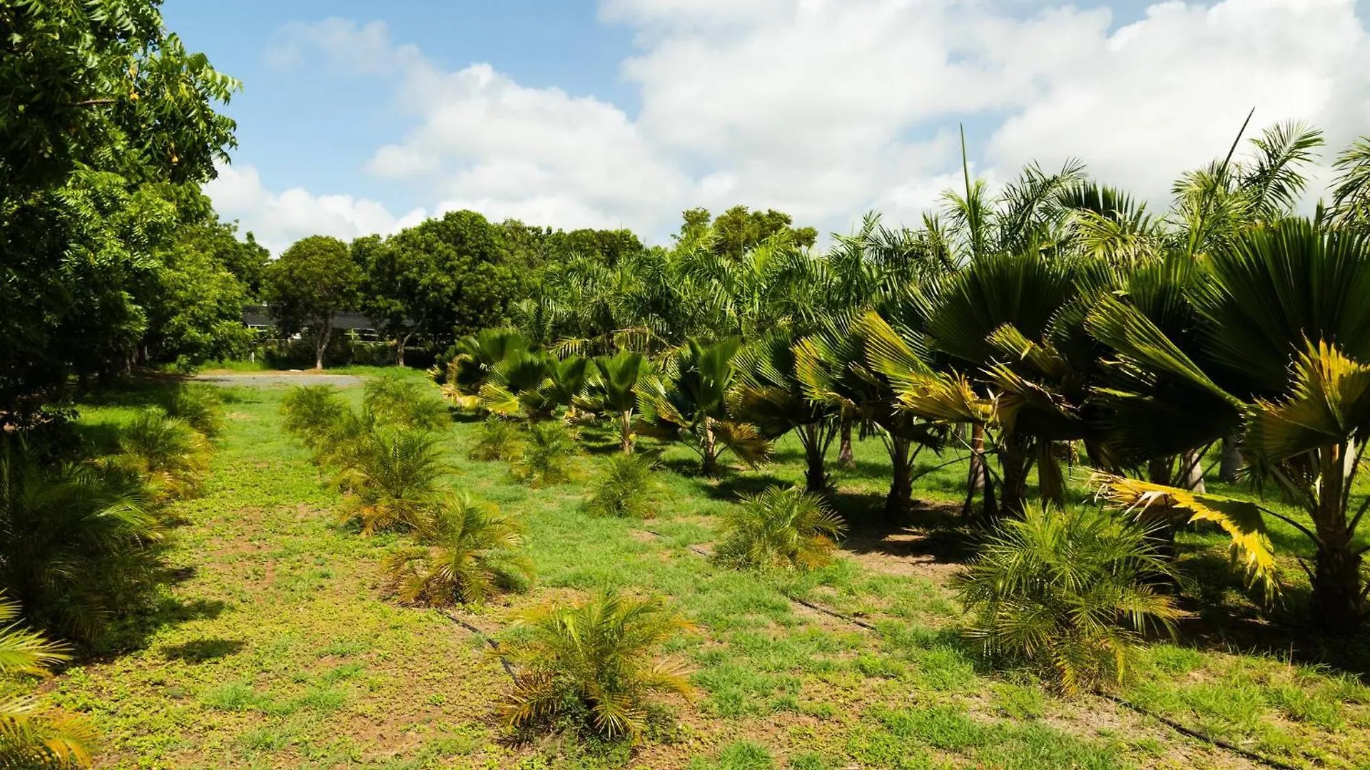 Las Palmas Cottage - Serene Eco Retreat Cabo Rojo 0*,