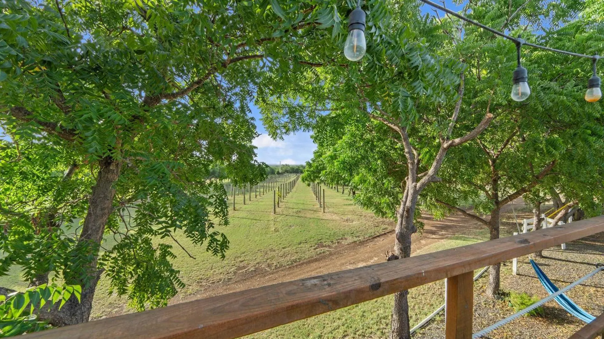 Holiday home Las Palmas Cottage - Serene Eco Retreat Cabo Rojo